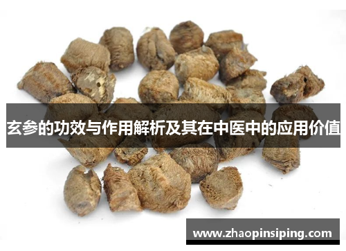 玄参的功效与作用解析及其在中医中的应用价值