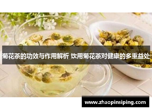 菊花茶的功效与作用解析 饮用菊花茶对健康的多重益处
