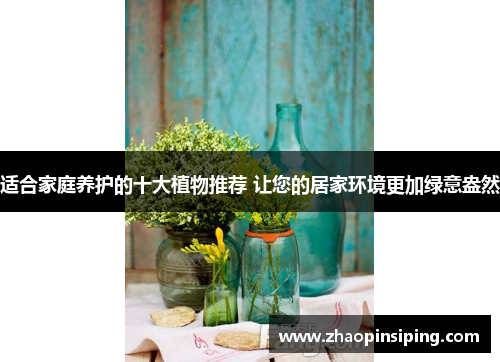 适合家庭养护的十大植物推荐 让您的居家环境更加绿意盎然